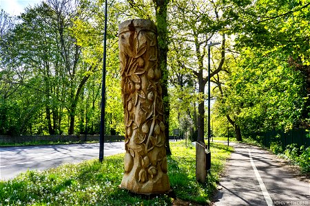 Carved Tree Stump Maidstone