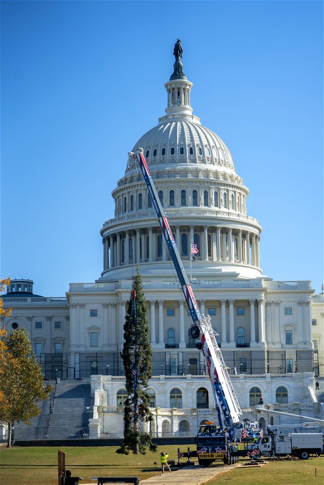CapitolXmasTree-WashingtonDC-048