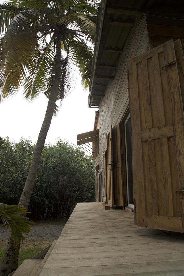 Wooden tree villa