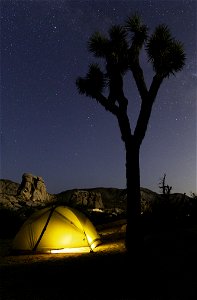 Camping at Hidden Valley Campground