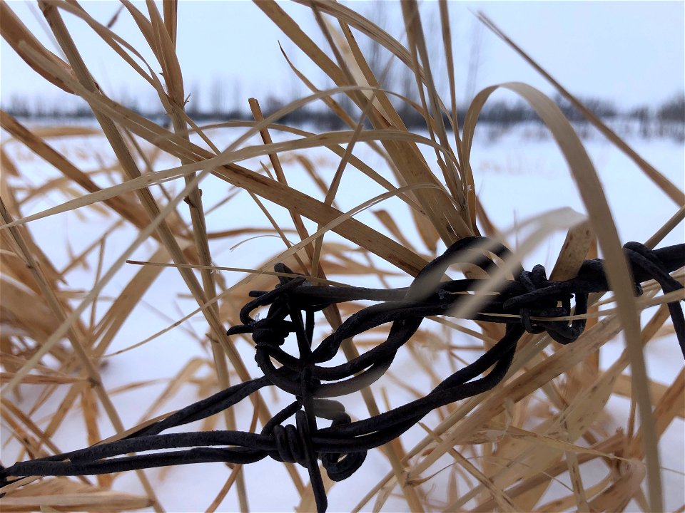 Crossed and Flowed Together