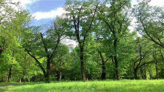 Musashino Park in Fuchu-shi