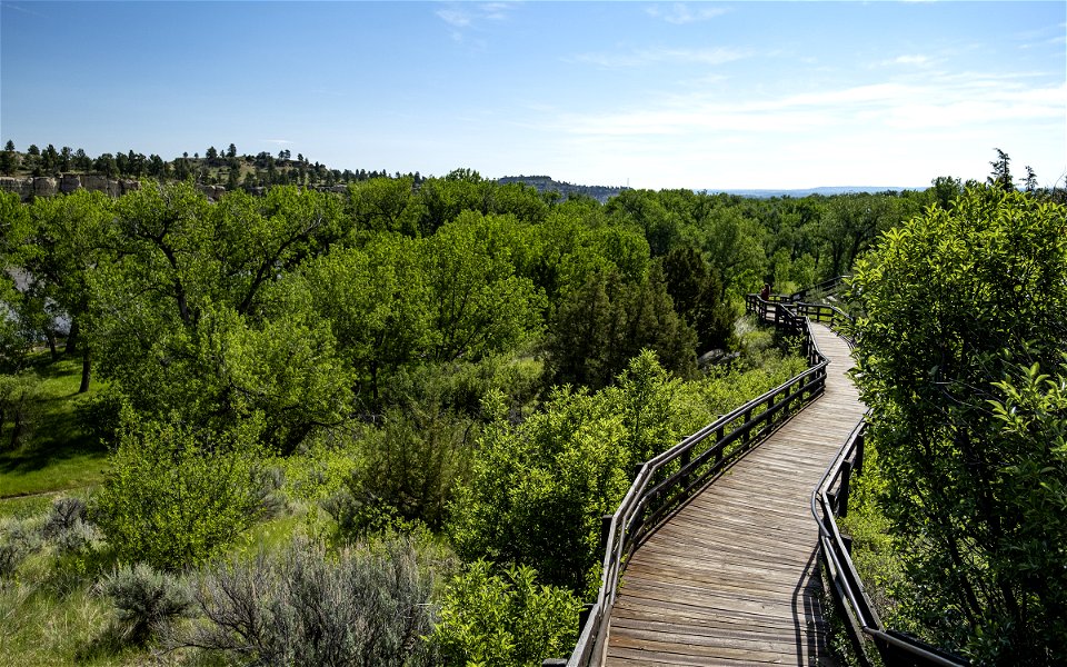 National Trails Day at Pompeys Pillar