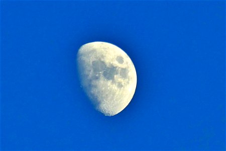 P1950278