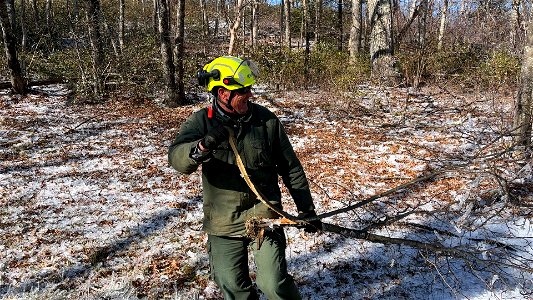 Winter Storm Cleanup photo