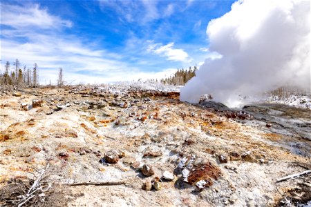 Steamboat Geyser and surrounding area