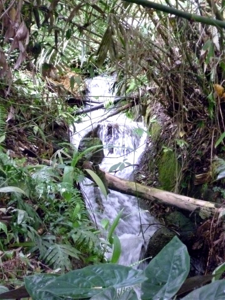 P1000389