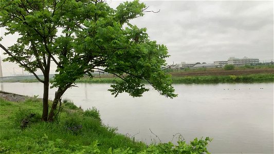 Tama River in Ichinomiya, Tama-shi