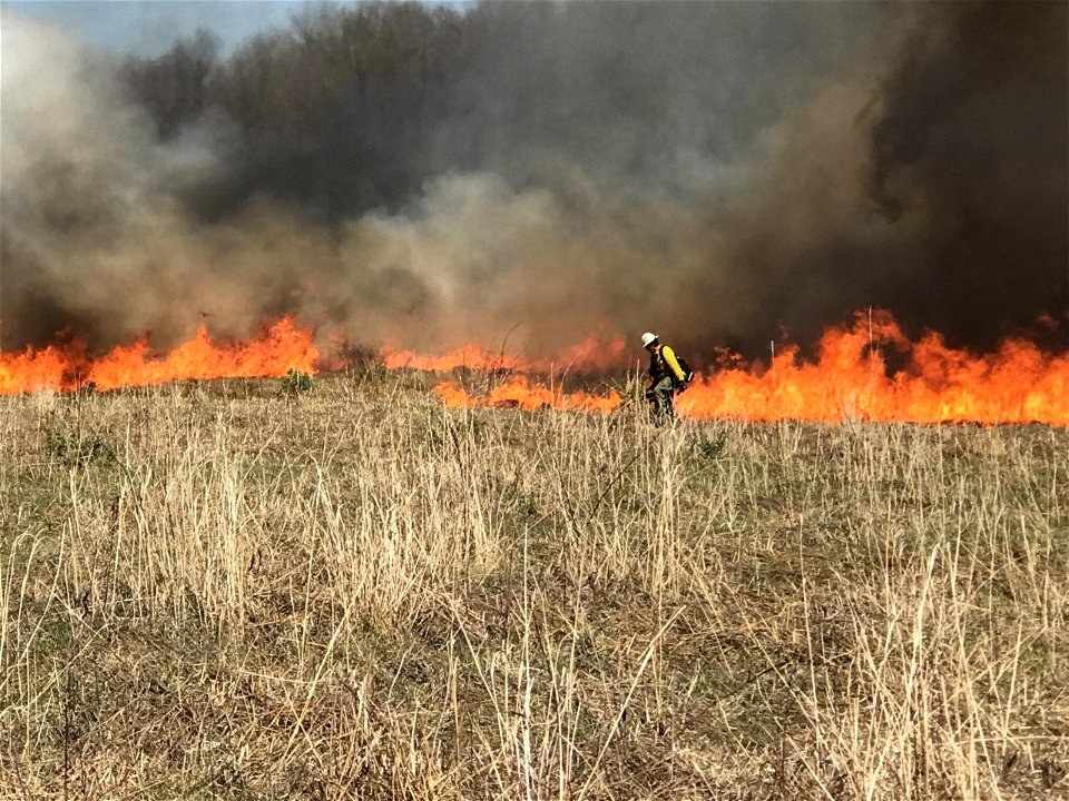 Fuels Management - USFWS 2022 Photo/Video Contest