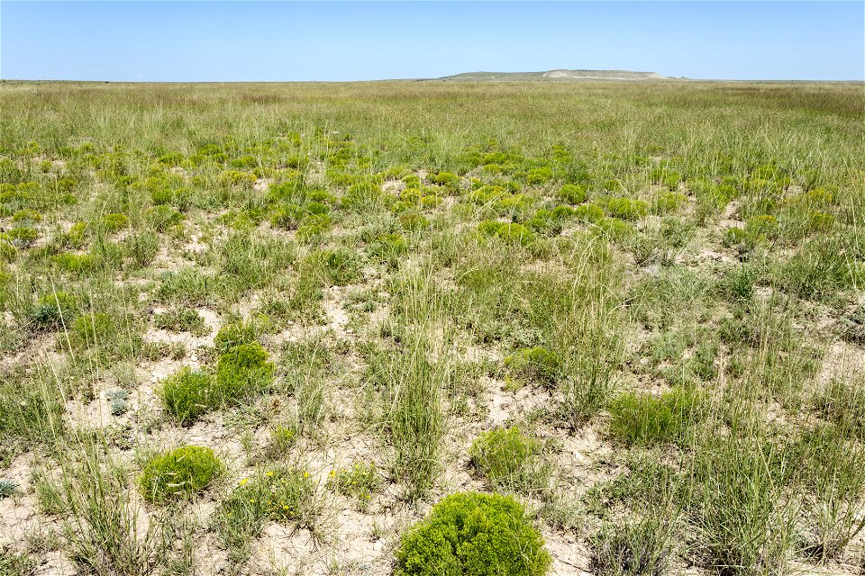 Near Cota del Gallo Arroyo