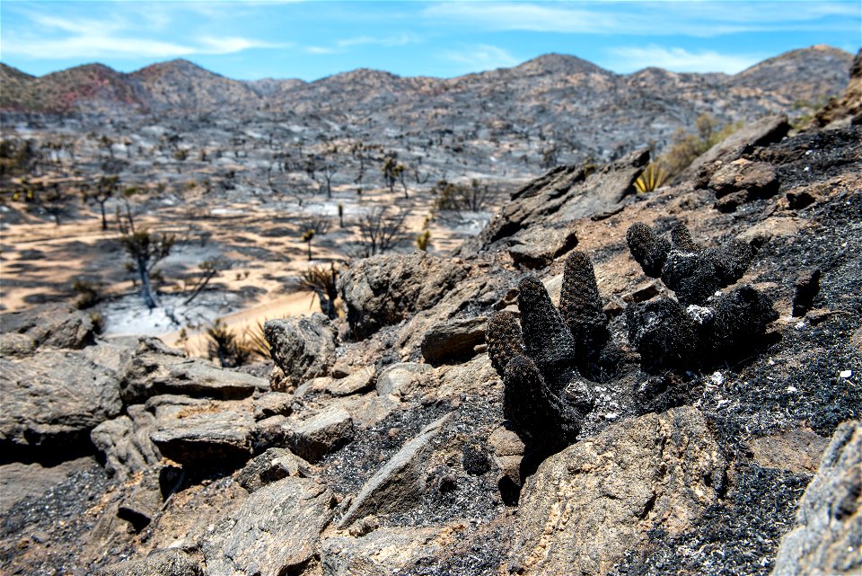 Elk Fire Burned Area