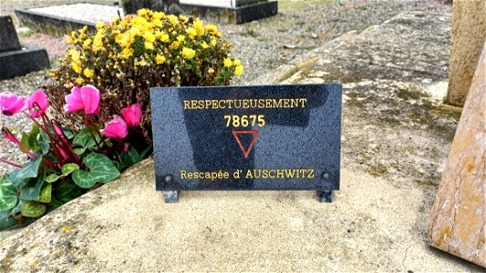 Cimetière du Camp du Vernet - Cemetery of the Vernet camp