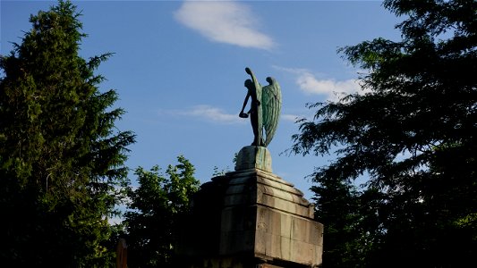 DSC08091