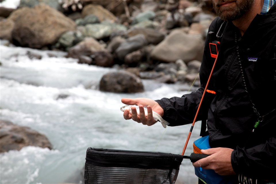 PNTA-Swift Creek-Mount Baker-6