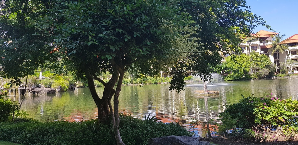River nature water