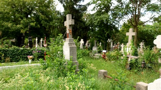 SfVineri_cemetery2021_0724_081300