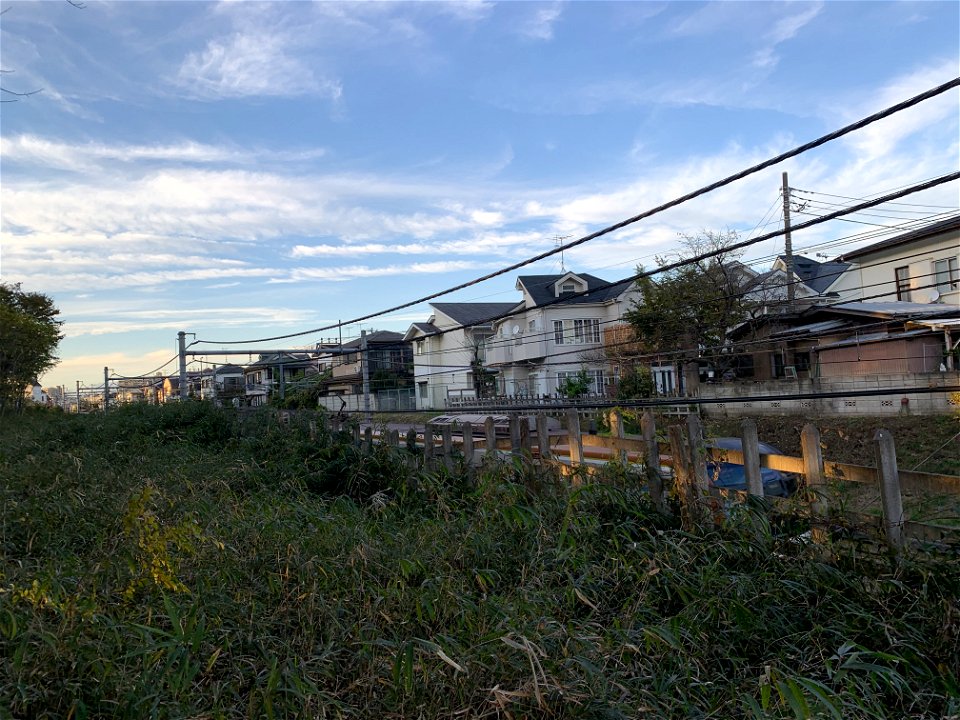 Koyama, Higashikurume-shi in November
