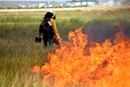 BLM’s Folsom Lake Veterans Crew perform RX Burn at Cosumnes River Preserve restoring critical habitat. photo