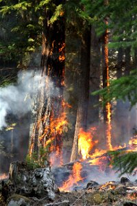 FiringJoeGoddardArea CedrCrkFire Wllmte NF 220821 (51)