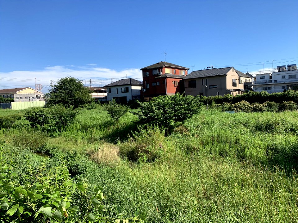 Ochiai River in Chuocho, Higashikurume-shi