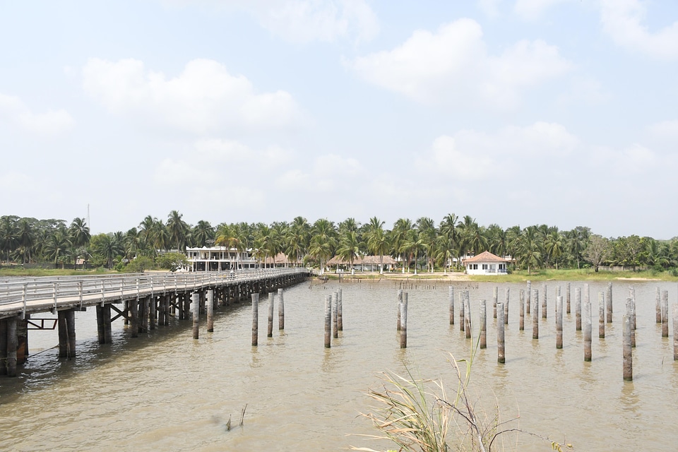 Nature landscape coconut trees