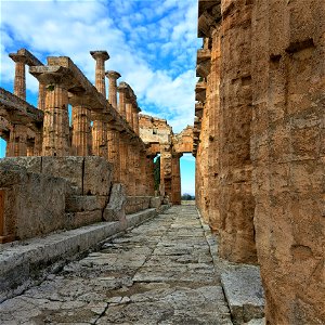 Columns inside Temple of Neptune Paestum Itlay