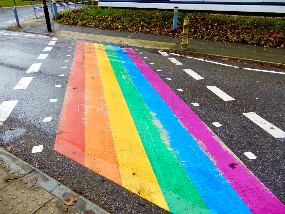 This was a Zebra  Crossing! Now it is a Rainbow 🌈 Crossing!