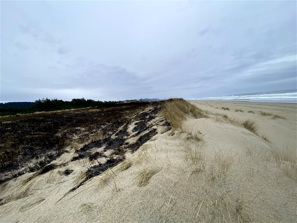 Siuslaw Oregon Dunes Prescribed Burn 2022