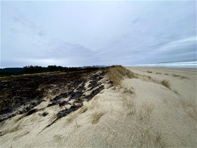 Siuslaw Oregon Dunes Prescribed Burn 2022 photo