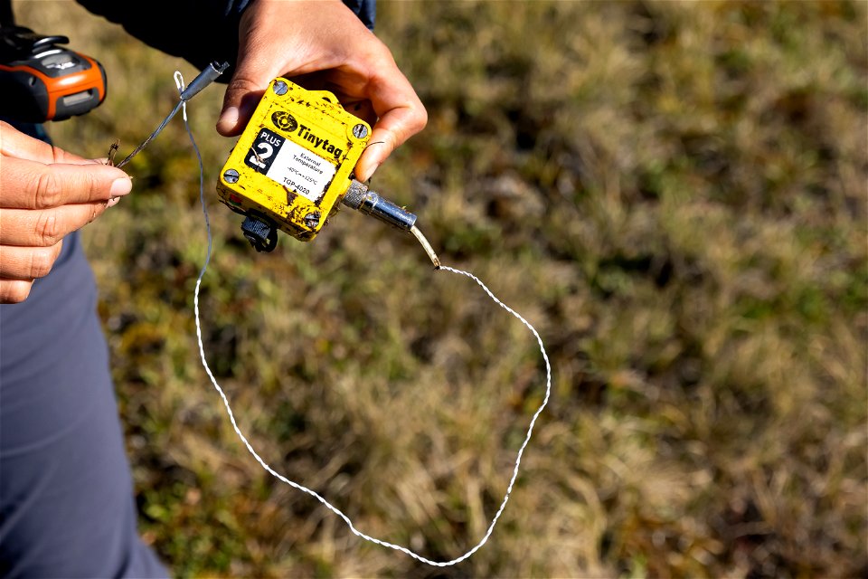 Monitoring technology for nests photo