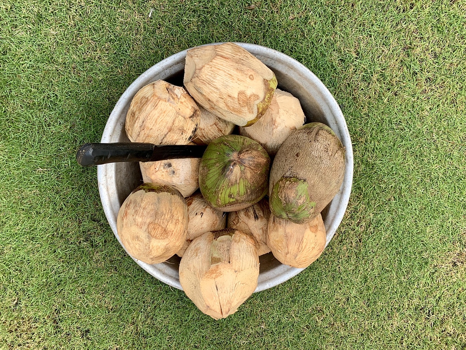 Food fruit coconut