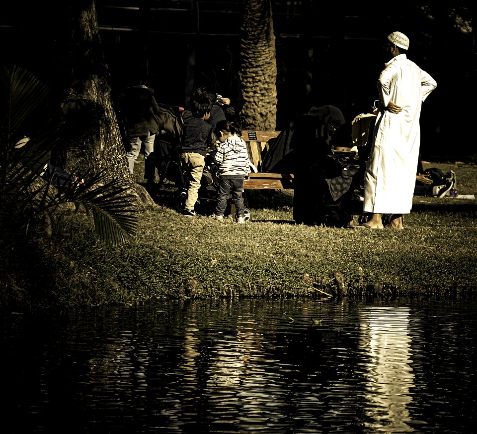 Reflections At the Park photo