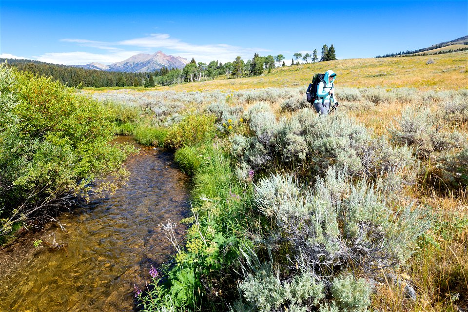 Hiking the Fawn Pass Trail along Fawn Creek (3)