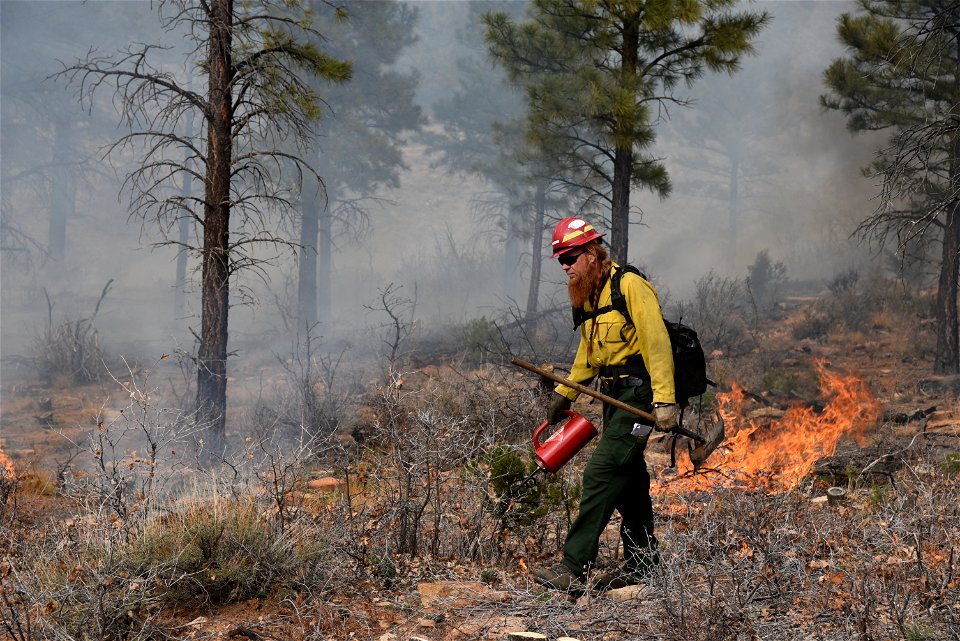 Ray Mesa Prescribed Burn Fall 2021
