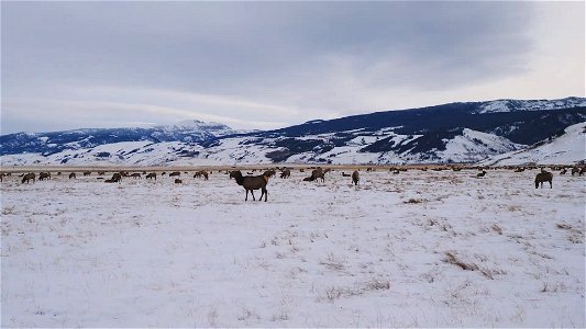 Winter Sleigh Ride