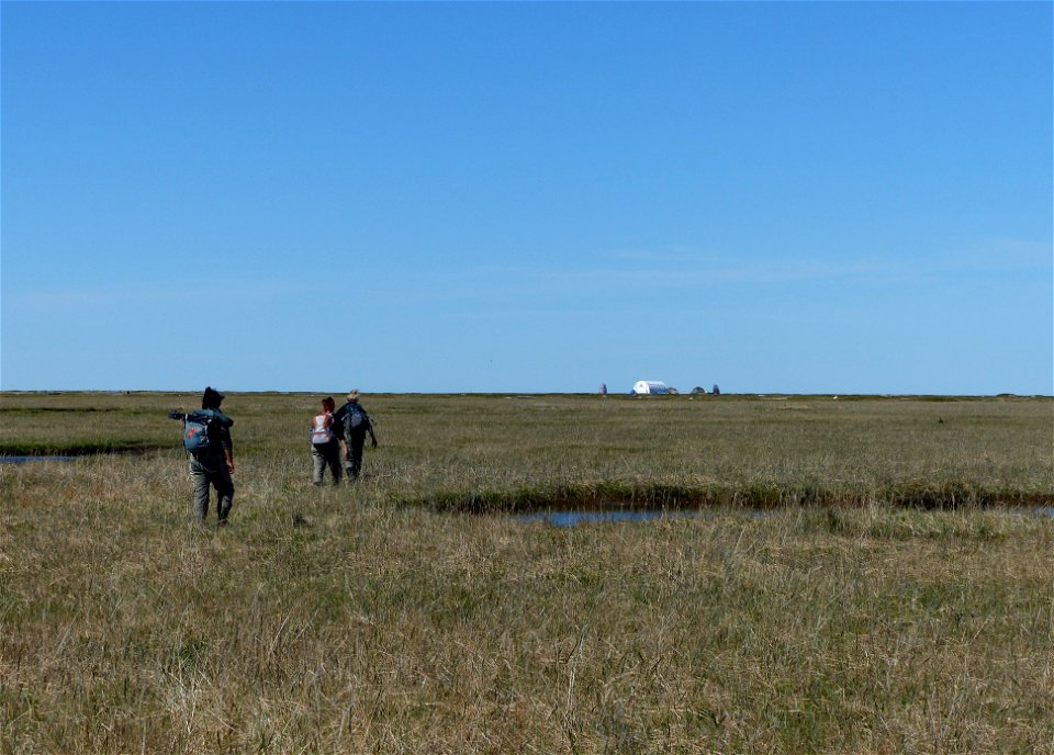 Returning to camp on Kigigak Island