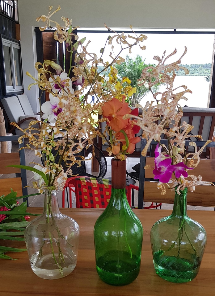 Decoration flowers pot