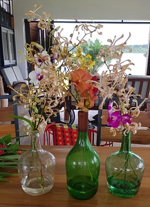 Decoration flowers pot