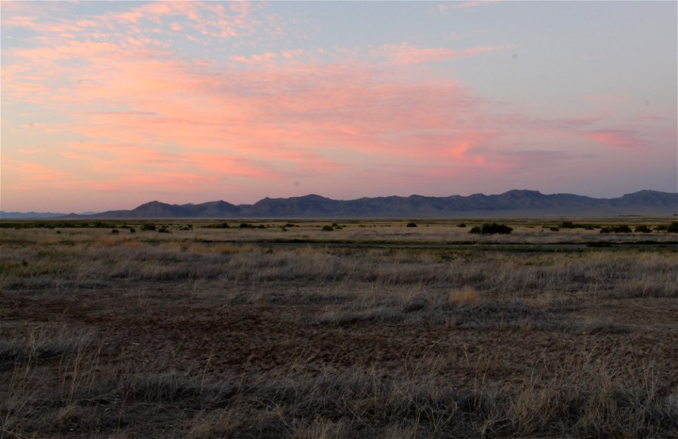 Fish Springs National Wildlife Refuge