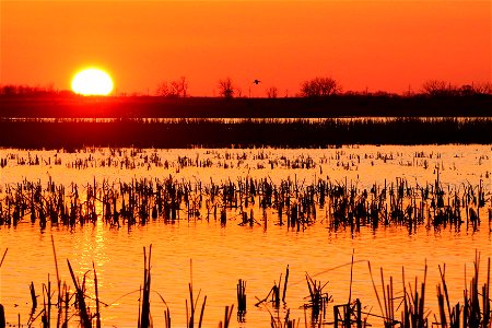 Sunset at Huron Wetland Management District South Dakota