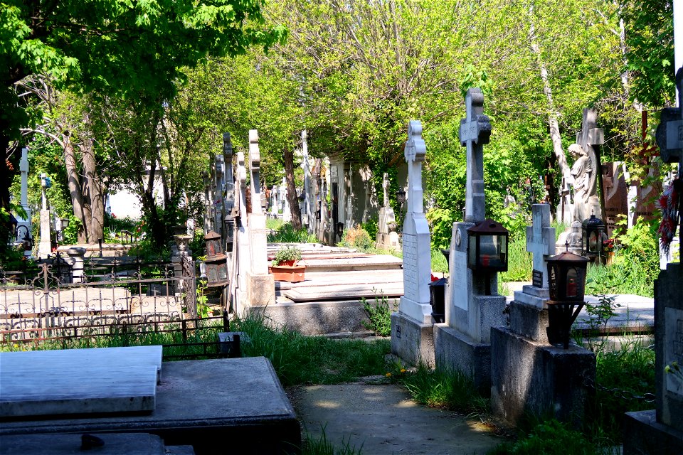 cimitir Sfanta Vineri (13)