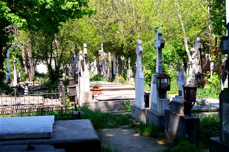 cimitir Sfanta Vineri (13)
