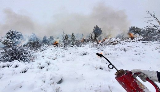 Snowy conditions on West Dolores Rim Prescribed Pile Burn photo