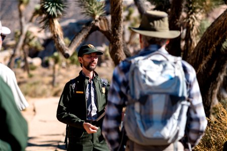 Joshua tree program photo