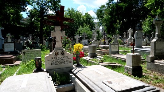 Bellu_cemetery (65)