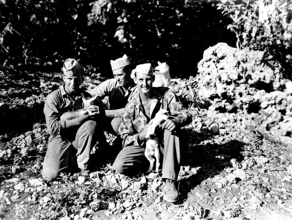 "Back to the hills" was the order, and "Nanny" the goat and her two kids had to bow before the needs of war. Saipan. January, 1945.