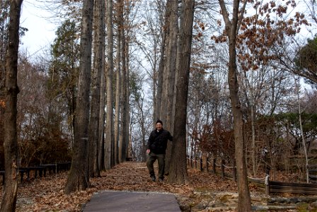 Hantaek Botanical Garden