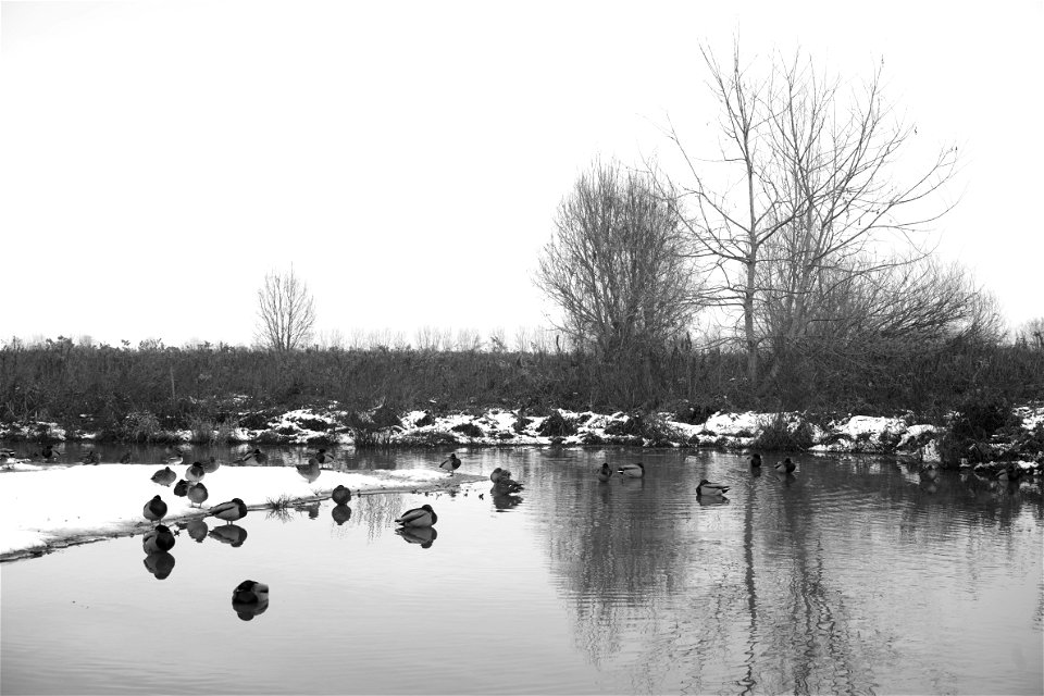 December. LIPU oasis in Racconigi