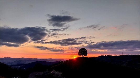 IMG_20220727_210330