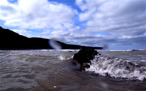 Muscles, Surf, Clovelly, Devon, UK